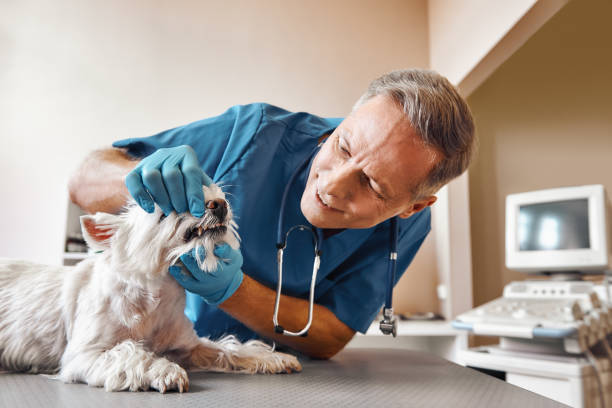 Best Emergency Tooth Extraction in Wellston, OH