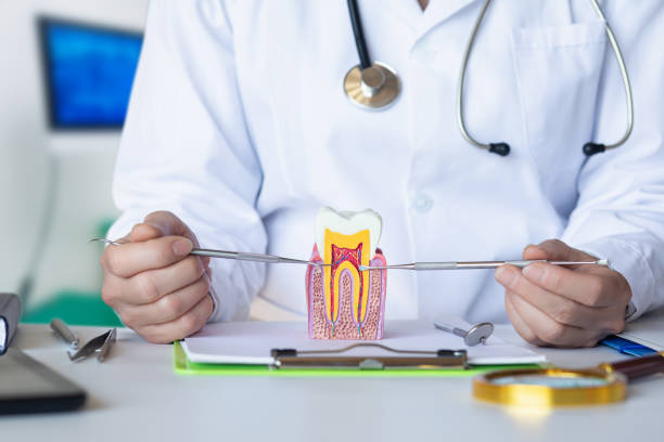 Best Emergency Dental Care for Broken or Chipped Teeth in Wellston, OH